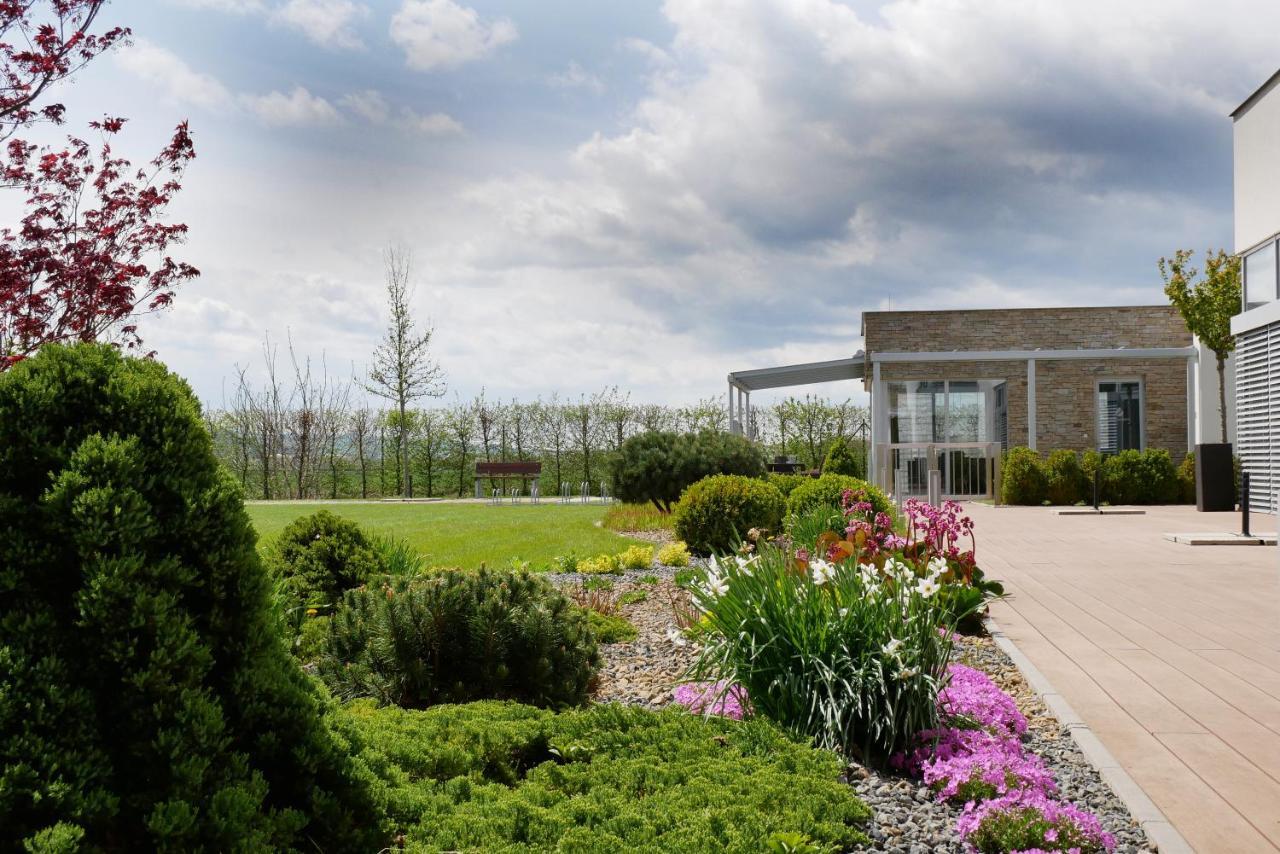 Hotel Harmony Medical & Wellness-Free Parking, 1,8Km From The Center Кромержиж Экстерьер фото